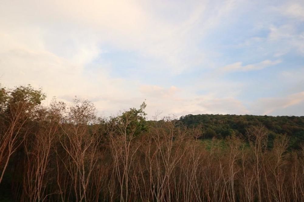 קו לנטה Cottage Hill At Lanta מראה חיצוני תמונה